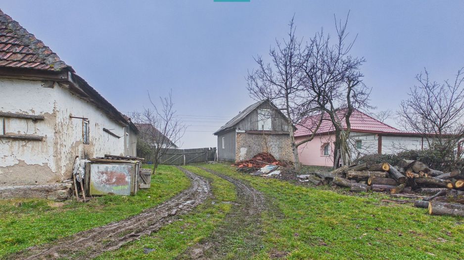 Casă și teren 5.000 mp în Poiana-Tășad, Bihor - Poză 10