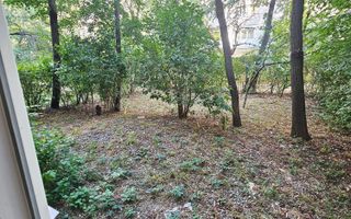 🏠 Apartament 2 camere • Confort 2 • Parter – 📍 Zona Malu Roșu - Poză 10