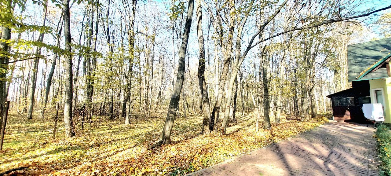50 ari de Teren forestier si de recreere in Codri!! - Poză 1