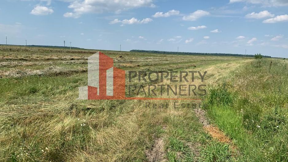 Teren pentru investitii rezidentiale, Moara Vlasiei, Caciulati, A3 - Poză 3