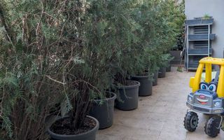 Apartament, 64 m², - Poză 8