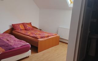 Pensiune/Unitate de cazare/Vila Burdujeni Suceava - Poză 21