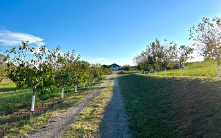 Ferma de vanzare cu 550MP utili si 27.500MP teren la asfalt - Poză 2