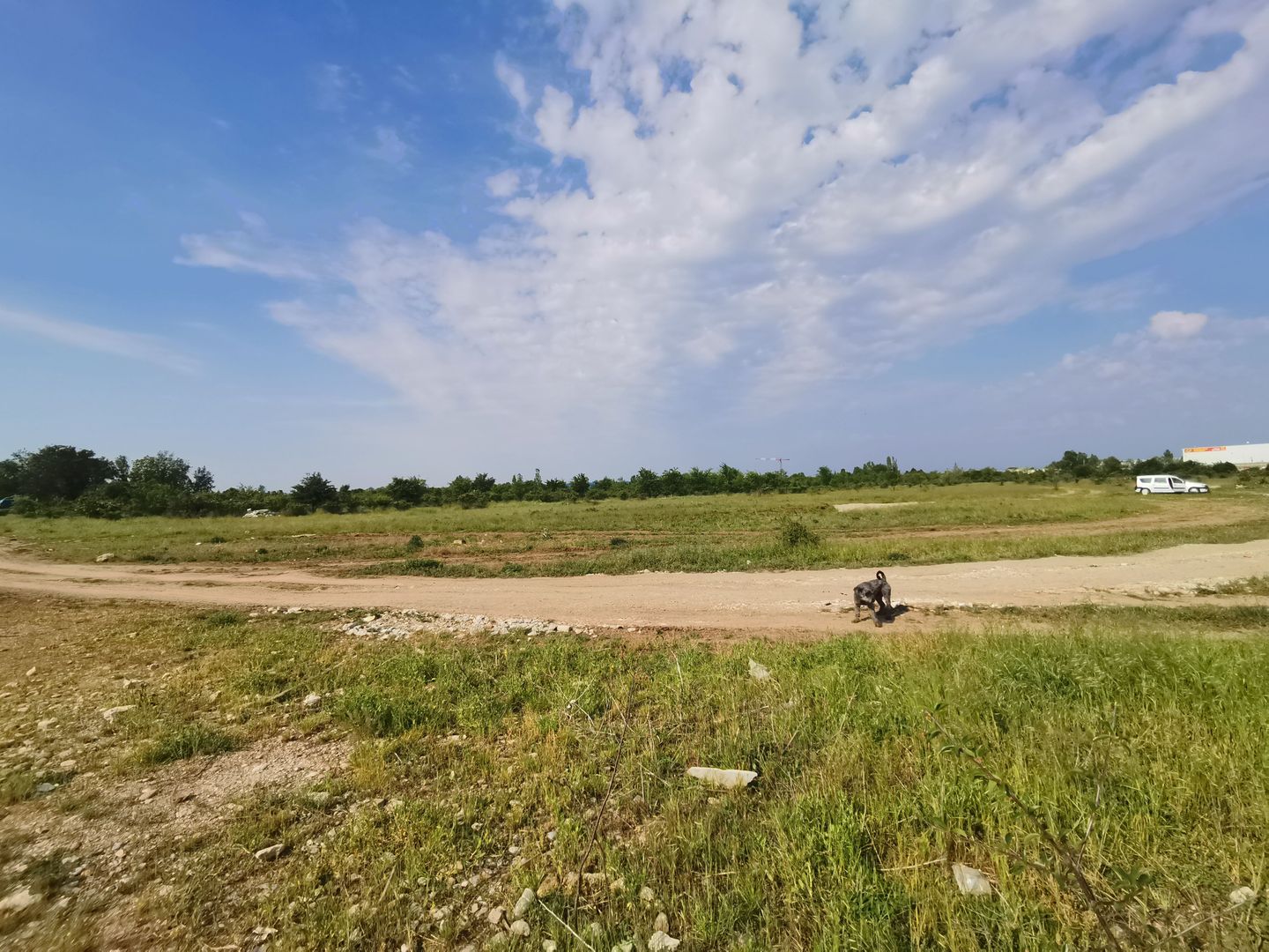 Autostrada A1 | Teren 30.000 mp | langa depozitul LIDL - Poză 5