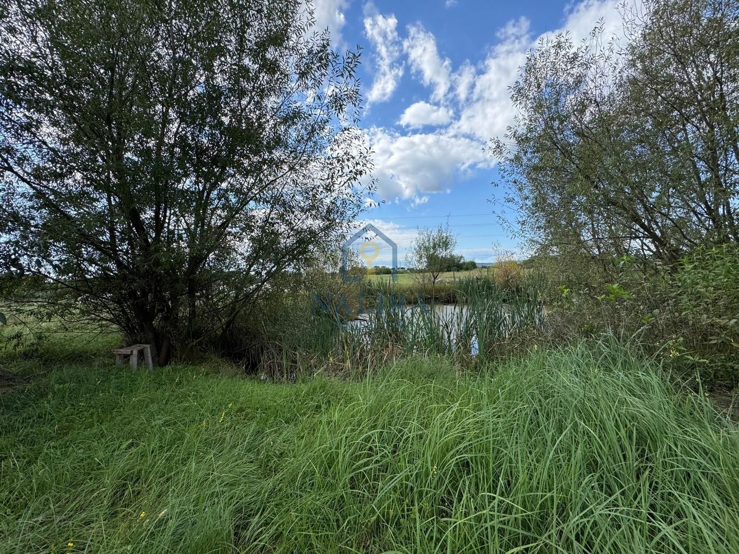 Casa spatioasa cu zona amenajata pentru ferma Cicarlau - Poză 4