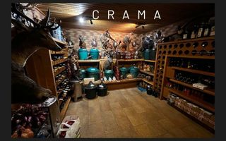 Vila grandioasa, Gradina Japoneza, SPA, Crama, Teren Tenis, Foisor, Iaz Pesti - Poză 14