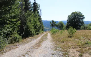 Terenuri Carpinis I parcelabil I Curent pe proprietati - Poză 62