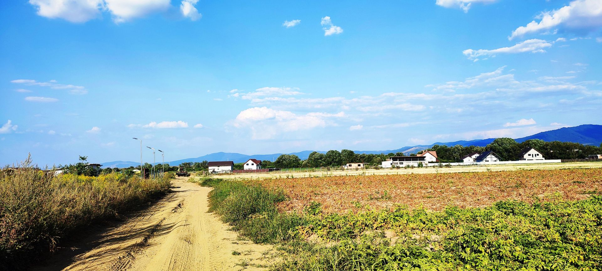 teren intravilan in Sacele-Baciu - Poză 4