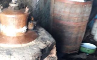 Proprietate cu 60000 mp pamant la pret de apartament - Poză 1