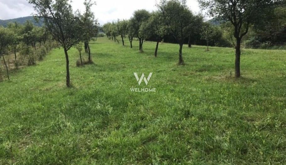 Teren extravilan - Sibiel, Sibiu - Poză 7