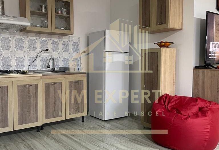 CASA 3 CAMERE, TEREN 3100 MP, ALBESTI DE MUSCEL, ARGES - Poză 10