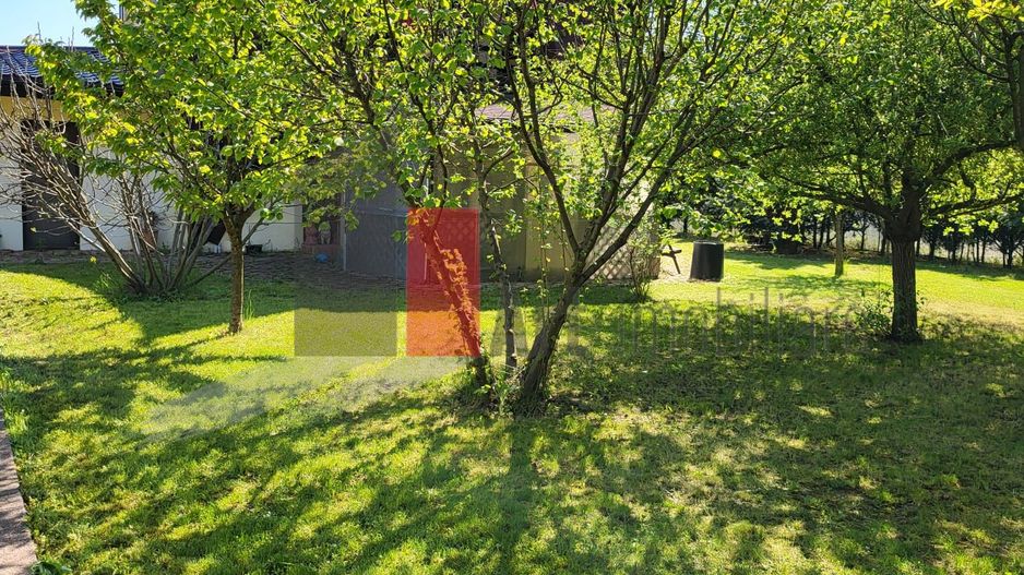 Silistea Snagovului | Casa de vis | Locatia de vis - Poză 8