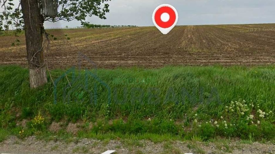 Teren de 5000 mp de vanzare, cu front la strada, in Voinesti, Iasi - Poză 4
