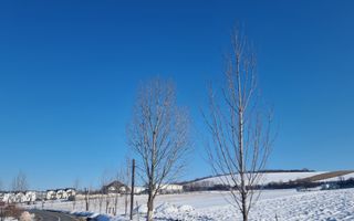 FĂRĂ COMISION | TEREN 6695 MP ÎN ȘURA MARE - Poză 4