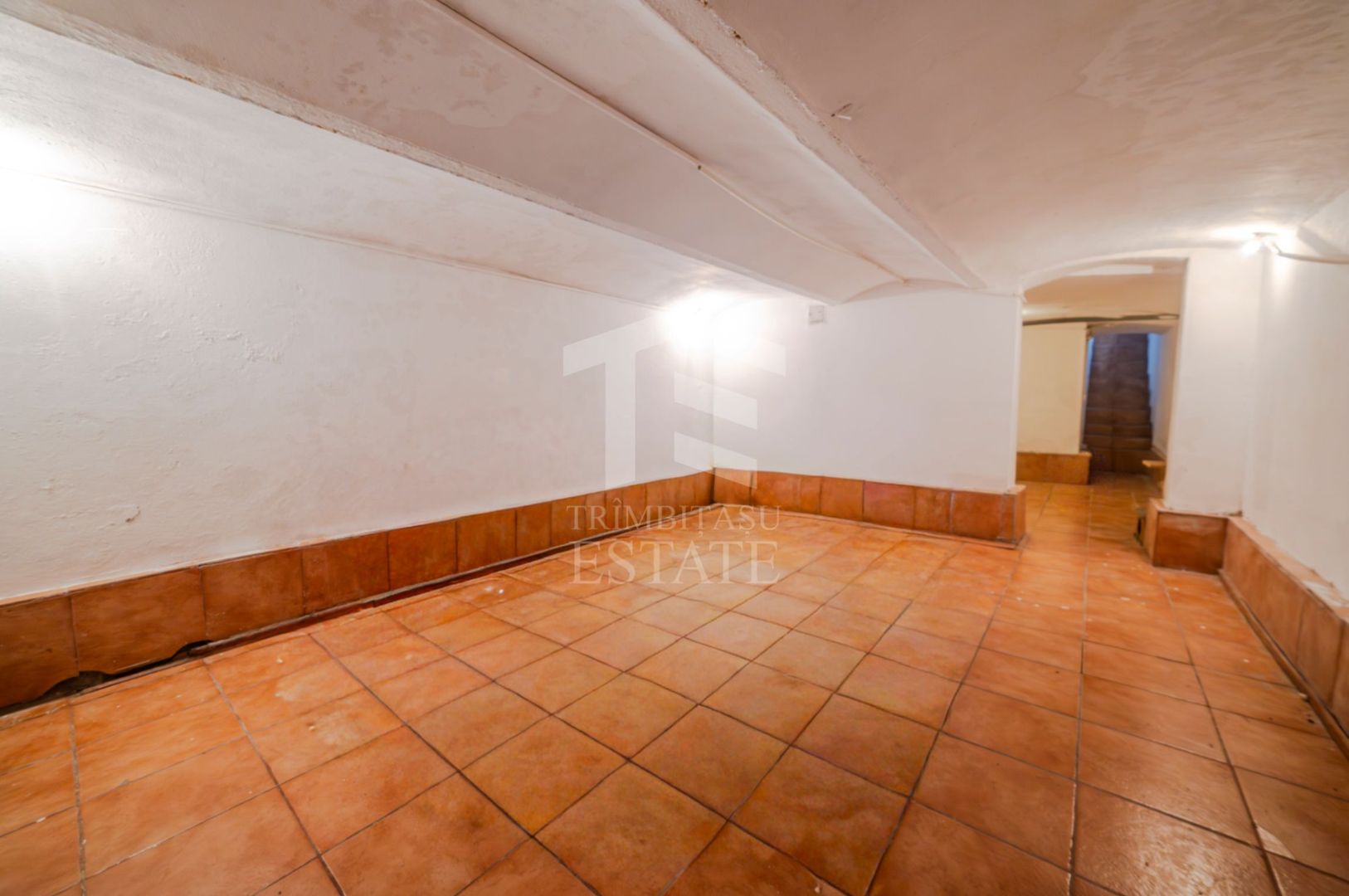 Apartament 3 Camere La Casa | Curte | Pod + Beci Mare | COMISION 0% - Poză 30