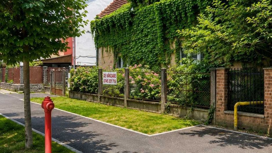 Proprietate de investiție, zona zero Satu Mare – teren 744 m2, front 19 m - Poză 3