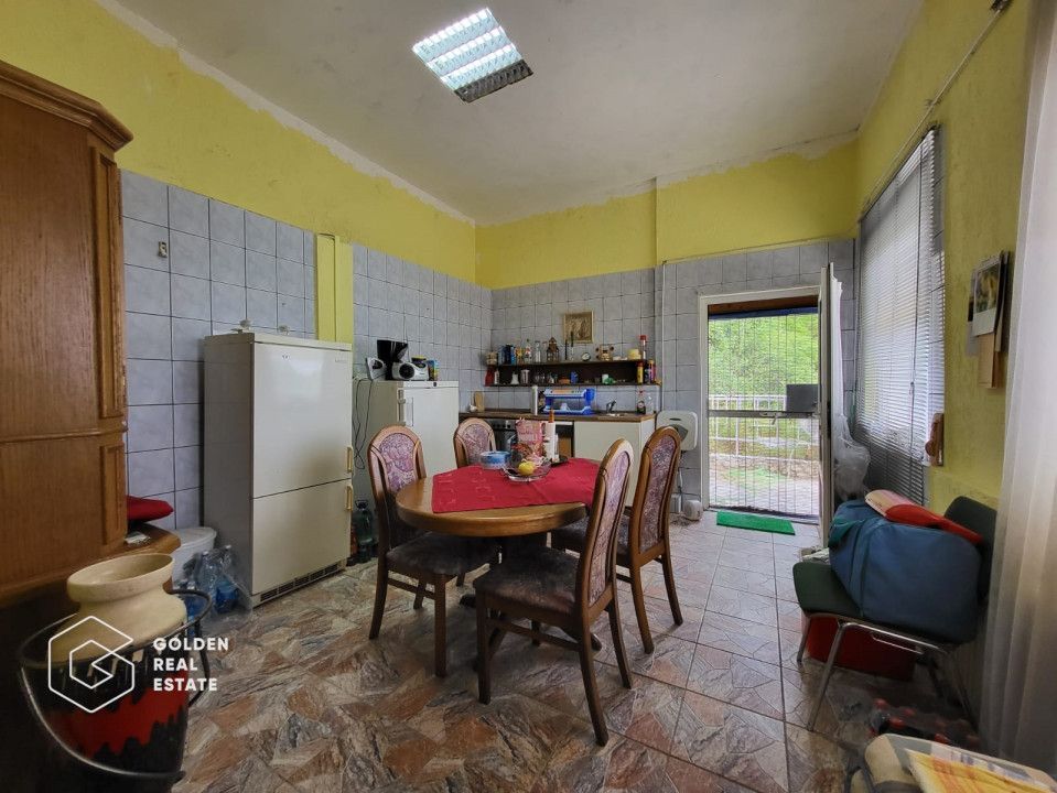 Casa P+1+M, Lipova - Poză 4