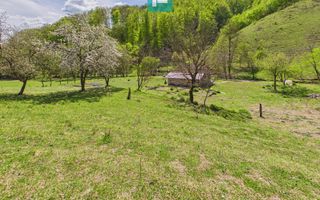 Teren  pentru investiții  în Luncoiu de Jos - Poză 10