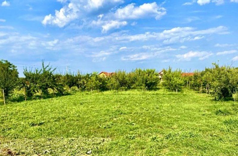 Casa la roșu în Izvin - Poză 4