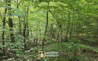 De vânzare teren extravilan  8,2037 ha pădure și pășune Borod, Bihor - Poză 7