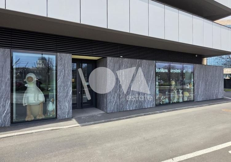 De închiriat:Spatiu comercial stradal Cotroceni-B-dul Geniului-CORTINA - Poză 2