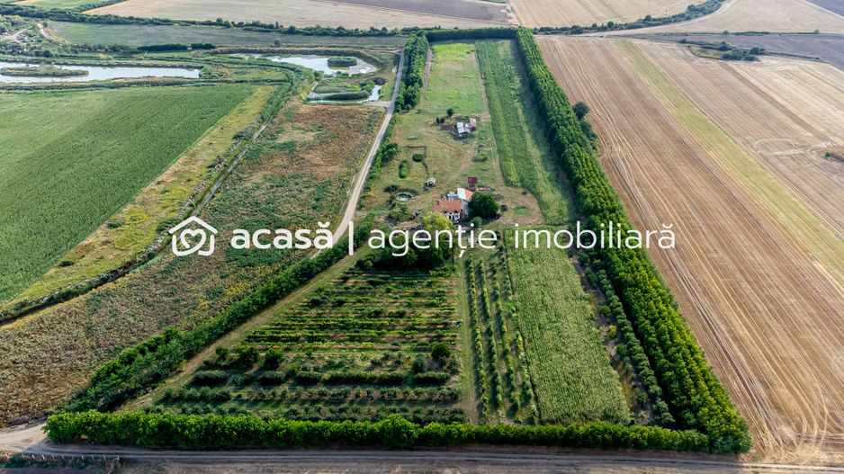 Preț nou! De vânzare teren 7.6 Ha în Pecica - Poză 2