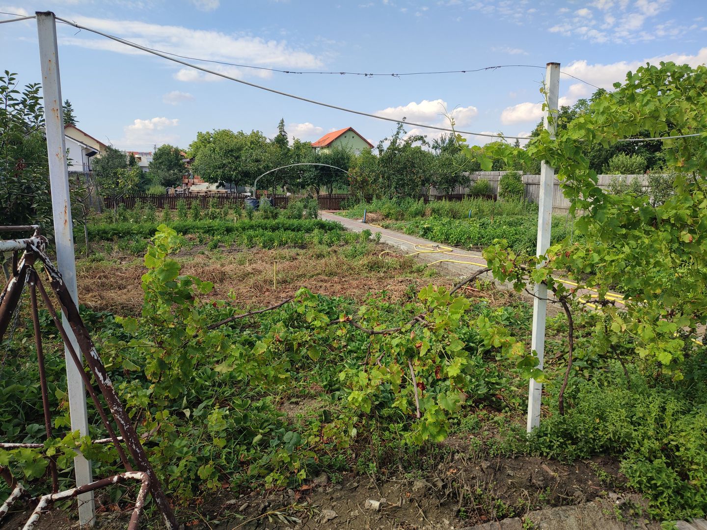 Sanadrei, Individual, Suprafate Generoasa, Garaj, Aspect Deosebit. COMISION 0 - Poză 8