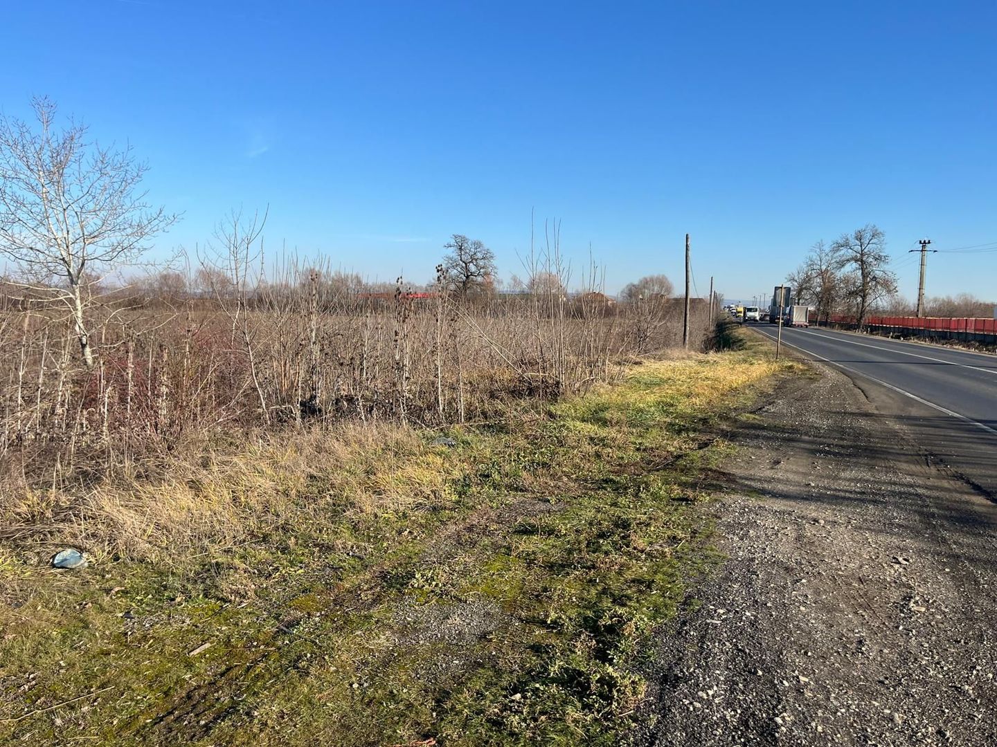 Teren intravilan, Săcădat, 27 921 mp. 9,5 Euro/mp. Comision 0. - Poză 9