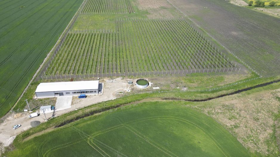 Oportunitate investiție: Livadă de Cireși și Hală - Poză 7