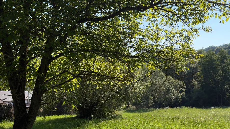 Teren Parau | Valea Danului, Curtea de Arges | Vidraru | - Poză 9