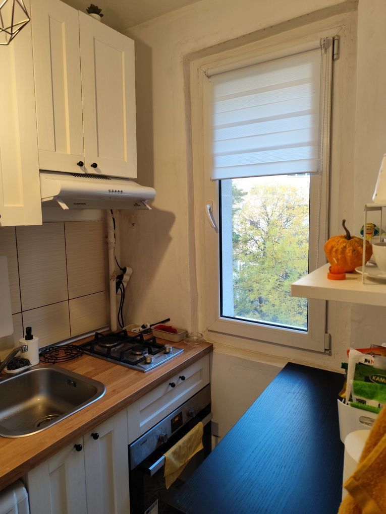 De vanzare garsonieră in Titan,Liviu Rebreanu - Poză 4