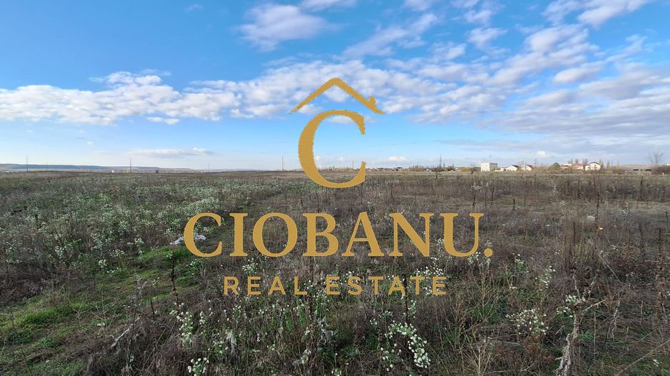 Parcele de teren intravilan de vanzare zona Preajba - Poză 4