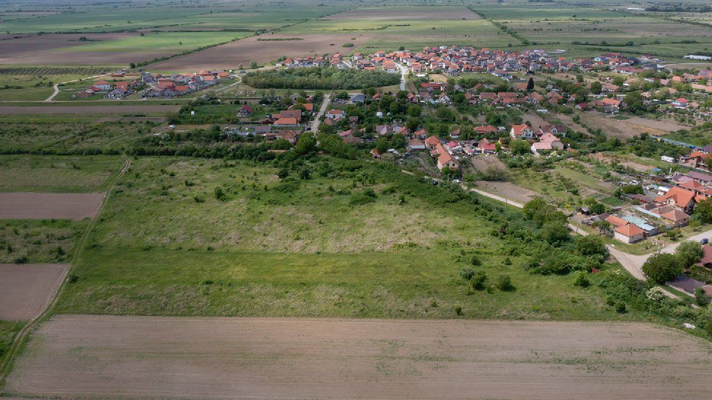 Teren extravilan 5000 mp Urseni, Timiș - Poză 5