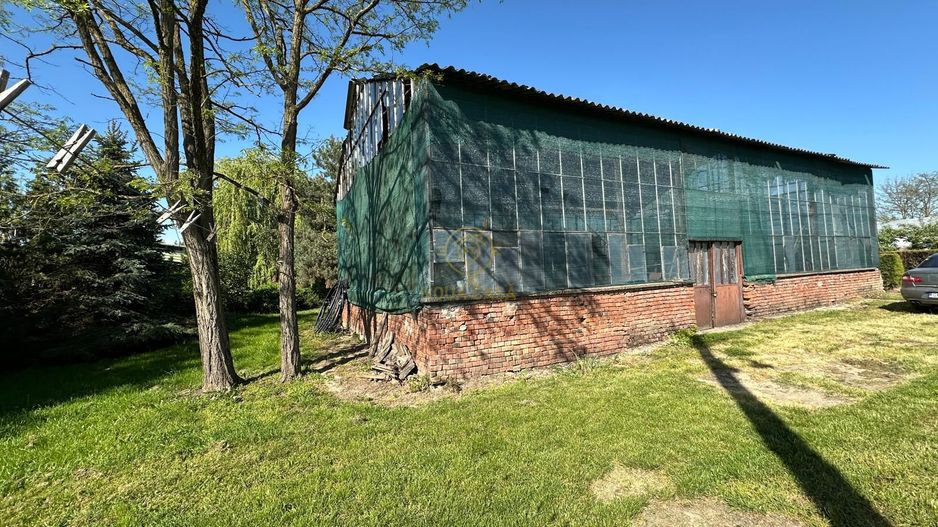 De vanzare Teren 20000MP cu sere/solarii și plantații - Poză 14