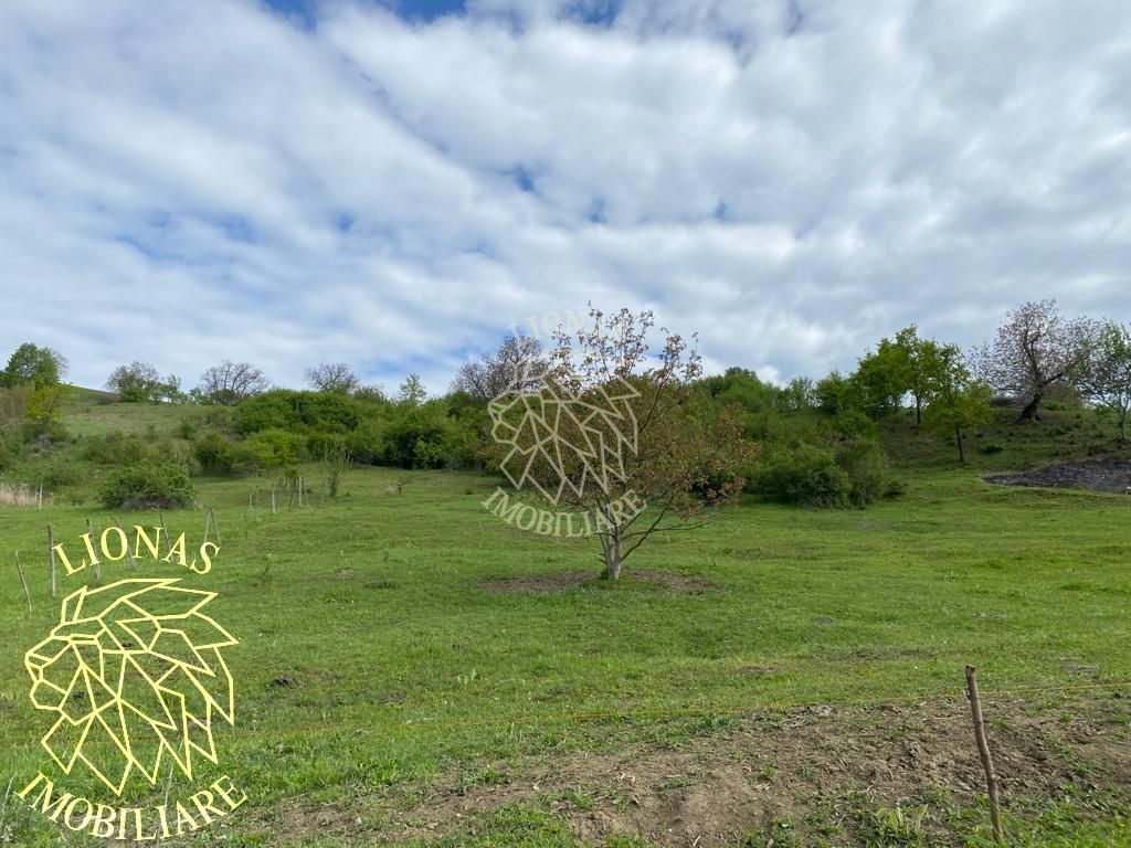 Teren Extravilan - Ghinda - 3.5000mp-Parcelabil - Poză 6