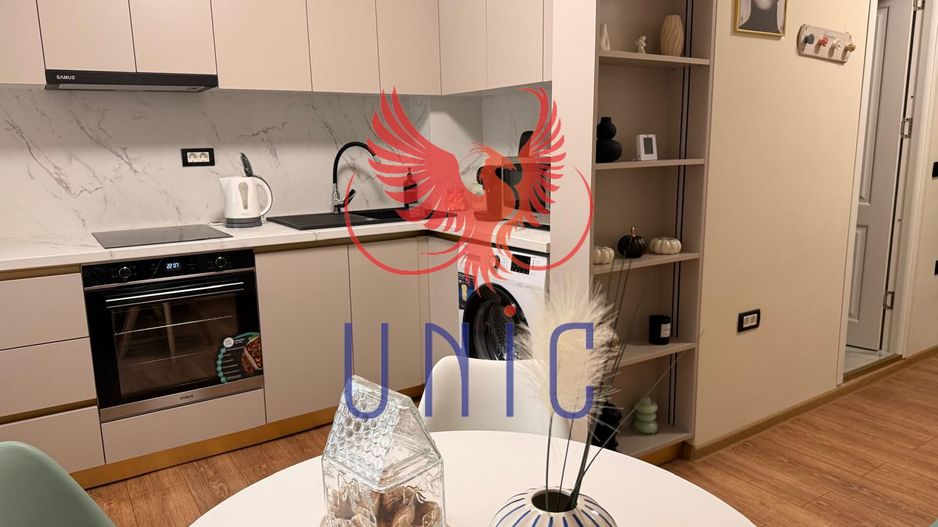 Garsoniera mobilata si utilata, Aristizza Romanescu - Poză 16