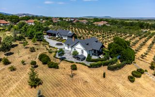 Visezi la o proprietate unică, plină de istorie și farmec? - Poză 1