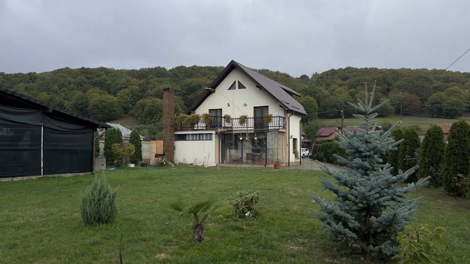 Casa de vanzare in Lupesti, la 10 km de Onesti - Poză 13