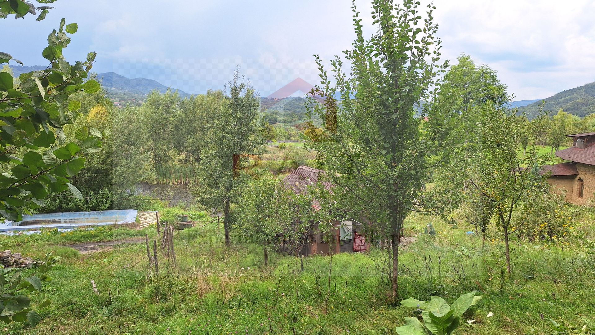 VANZARE ANSAMBLU CASUTE BRADULET ARGES - Poză 12