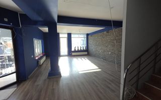 Dorobanti – Putul lui Zamfir | Vila Individuala | 7 camere | Terasa - Poză 8