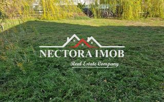 NECTORA IMOB-Centru medical multifunctional Osorhei E60, 1000 mp teren - Poză 18