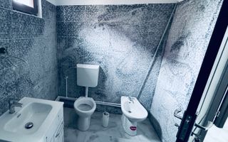 casa noua de inchiriat- prima inchiriere-Letea Veche - Poză 6