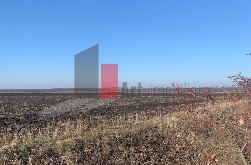 Vanzare Teren Intravilan 25.700 Stefanesti - Poză 1