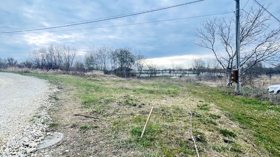 Teren Intravilan cu Front Dublu în Paleu - Poză 3