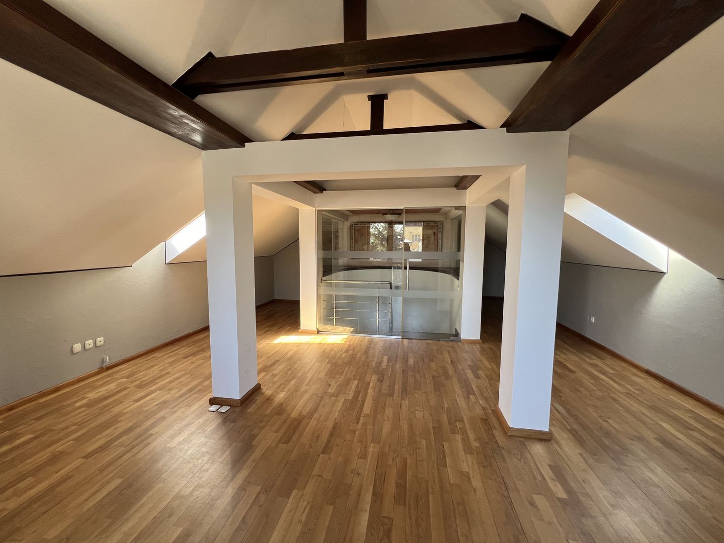 Vila superba Baneasa - Dobrogeanu Gherea - Poză 8