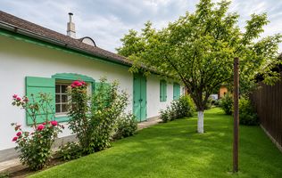 VANZARE CASA TRADITIONALA | 131 MP | TEREN 460 MP | PASAREA, ILFOV
