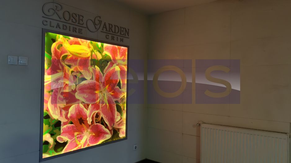 INCHIRIERE 2 CAMERE | ROSE GARDEN | DOAMNA GHICA - Poză 10