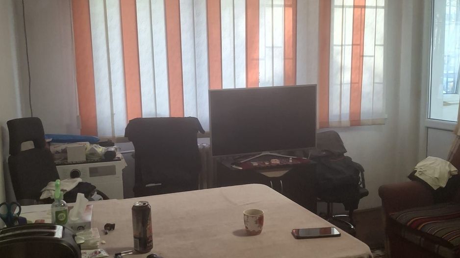 Vanzare apartament 2 camere Titan -Camil Ressu, Park Lake - Poză 10