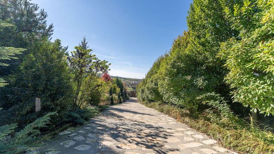 De vanzare casa unica pe teren de 3400mp, cu iaz si gradina - Borhanci - Poză 11