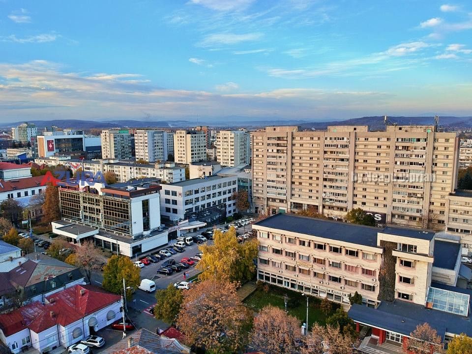 COMISION 0% - De Inchiriat Vila Ultracentral Pitesti - Poză 40